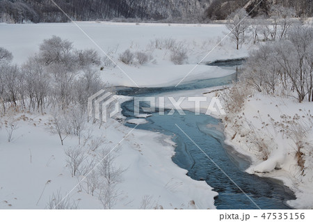 冬の北海道厚沢部町で河原の茅や木々が樹氷に覆われて凍てついている風景を撮影 冬の北海道厚沢部町で河原の茅や木々が樹氷に覆われて凍てついている風景を撮影 47535156