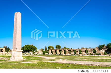 Ancient hippodrome in Tyre, Lebanon 47536411