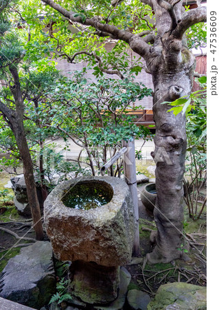 冬の京都の一休寺 47536609