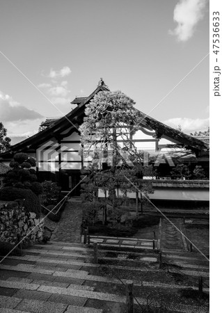 冬の京都の一休寺 冬の京都の一休寺 47536633