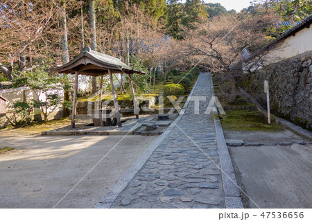 冬の京都の一休寺 冬の京都の一休寺 47536656