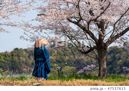 桜と僧侶 47537615
