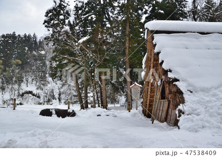 金沢湯涌　冬の氷室 47538409