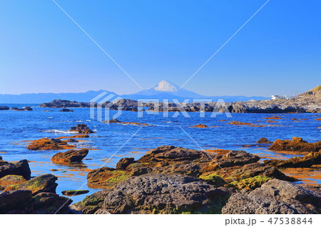 【神奈川県】城ヶ島から見た富士山 47538844
