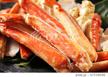 ズワイガニ 47539090