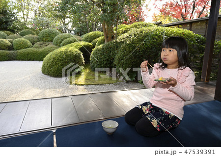 和菓子 和菓子 47539391