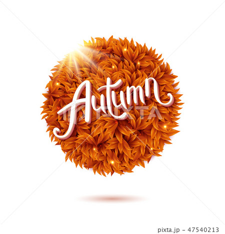 Round still life of fall leaves with Hello Autumn. Round still life of fall leaves with Hello Autumn. 47540213