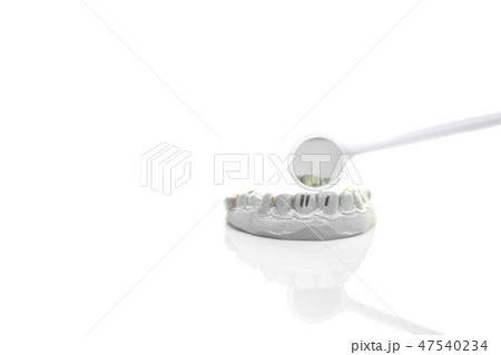 Model of plaster teeth with dental tools isolated in with background. Model of plaster teeth with dental tools isolated in with background. 47540234