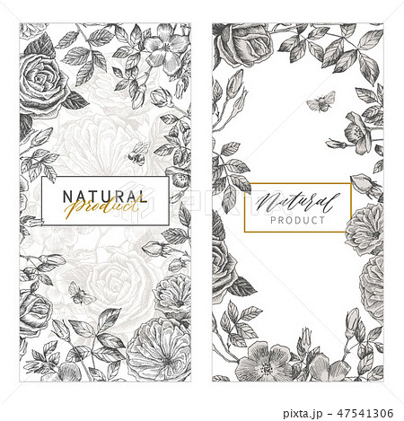 Vintage Floral Cards Set. Frame with Engraving Flowers. Botanical Illustration with Roses Vintage Floral Cards Set. Frame with Engraving Flowers. Botanical Illustration with Roses 47541306