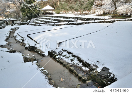 金沢市　卯辰山花菖蒲園 47541460