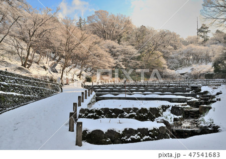 金沢市　卯辰山花菖蒲園 47541683