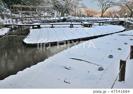 金沢市　卯辰山花菖蒲園 47541684