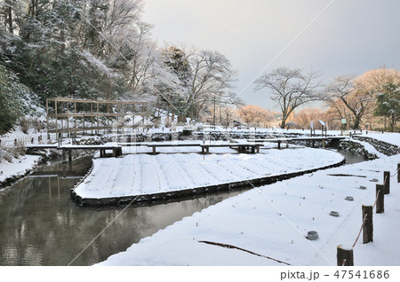 金沢市　卯辰山花菖蒲園 47541686