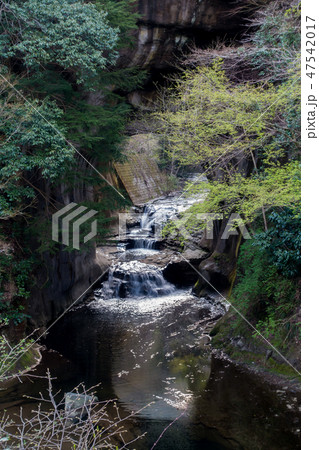 [千葉県]　濃溝の滝 47542017