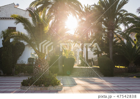 House, building and architecture concept - Street of large suburban homes in summer House, building and architecture concept - Street of large suburban homes in summer 47542838