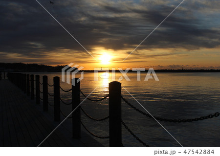 初日の出 初日の出 47542884