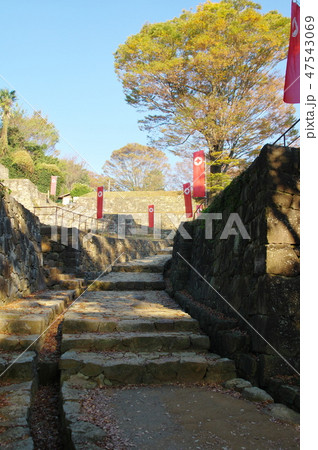 金山城跡（群馬県太田市） 47543069