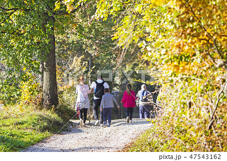 Group of people walking by hiking trail Group of people walking by hiking trail 47543162
