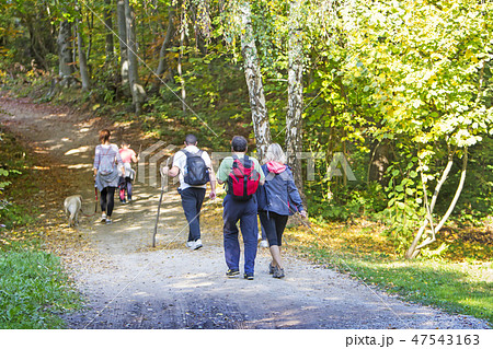 Group of people walking by hiking trail Group of people walking by hiking trail 47543163