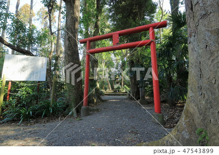 古城殿石塔（ふるじょうどんせきとう） 47543899