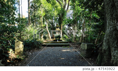 古城殿石塔（ふるじょうどんせきとう） 47543922