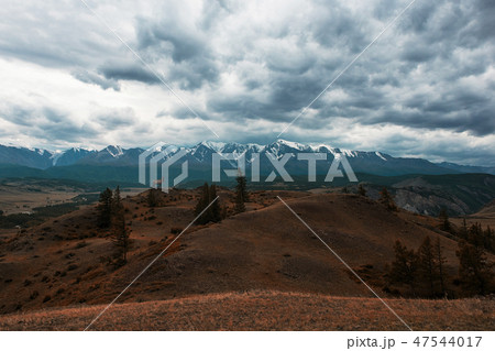 Maral in Kurai steppe Maral in Kurai steppe 47544017