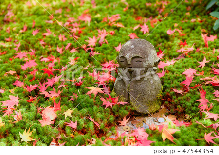 京都　圓光寺　十牛之庭のお地蔵様と紅葉 47544354