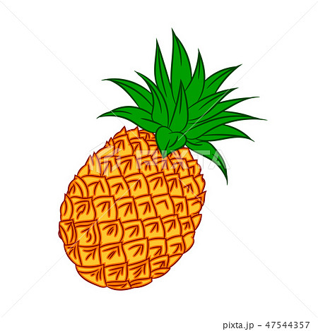 Illustration of fresh fruit pineapple, Vector 47544357
