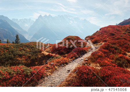 Amazing view on Monte Bianco mountains range with Monblan on background 47545008