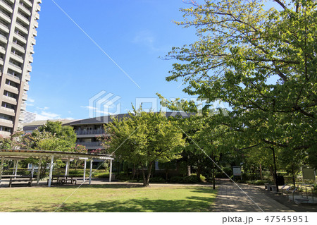 夏の臨海部 夏の臨海部 47545951