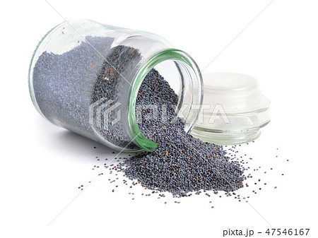 Papaver seed closeup isolated on white background 47546167