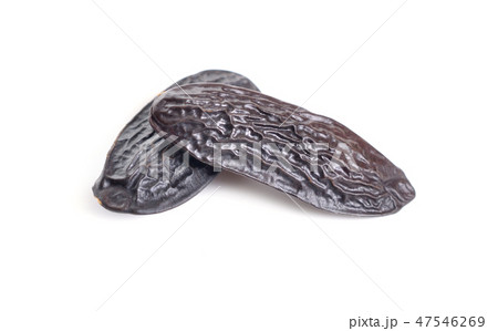 Dried tonka beans isolated on white background Dried tonka beans isolated on white background 47546269