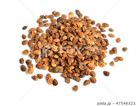 Seed of Onobrychis or sainfoins. Isolated on white Seed of Onobrychis or sainfoins. Isolated on white 47546323