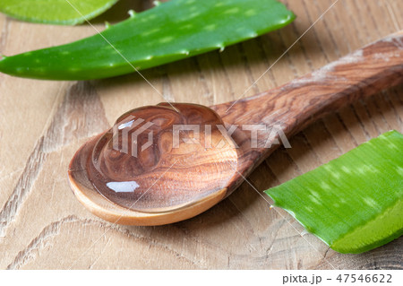 Aloe vera gel on a spoon, with fresh aloe vera 47546622