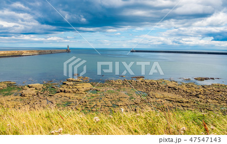 Landscape around Tynemouth Piers and lighthouses 47547143