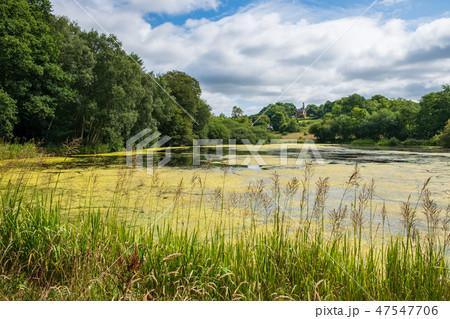 Pond near the Admissions Hut into  Lyme Park, UK 47547706