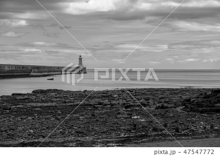 Landscape around Tynemouth Pier and lighthouse 47547772