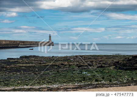 Landscape around Tynemouth Pier and lighthouse Landscape around Tynemouth Pier and lighthouse 47547773