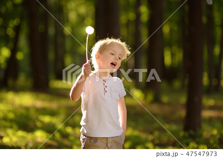 Little boy playing with dandelion fluff.  47547973