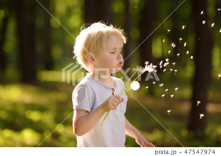 Little boy blows down dandelion fluff. Little boy blows down dandelion fluff. 47547974