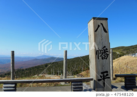 八幡平頂上付近の風景 47548120