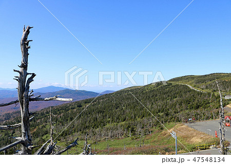 八幡平頂上付近の風景 47548134