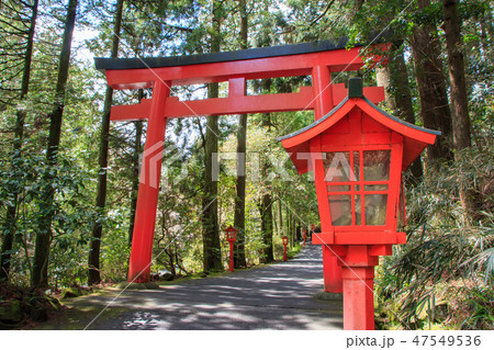 箱根神社 鳥居 箱根神社 鳥居 47549536