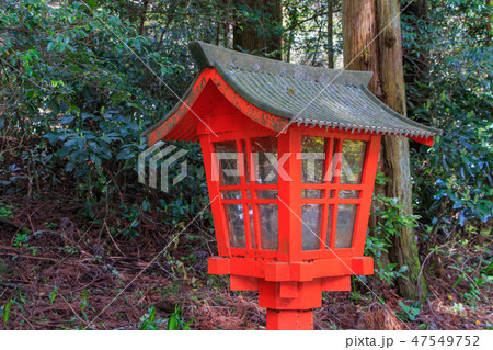 箱根神社 灯ろう 箱根神社 灯ろう 47549752