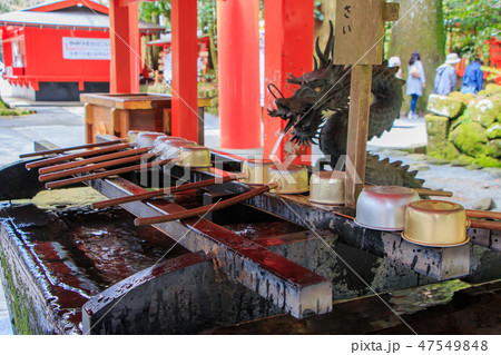 箱根神社　手水舎 47549848