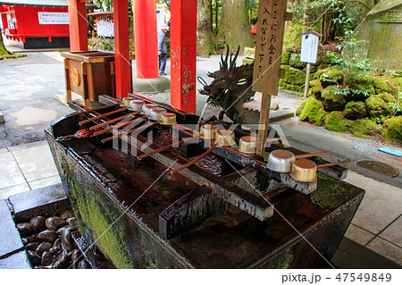 箱根神社　手水舎 47549849
