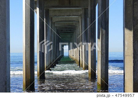 エレン・ブラウニン・グスクリップス記念桟橋の下からの眺め エレン・ブラウニン・グスクリップス記念桟橋の下からの眺め 47549957