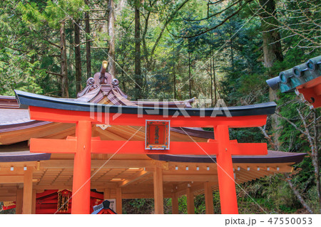 九頭龍神社 新宮 九頭龍神社 新宮 47550053