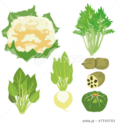 冬野菜 イラストセット1 Winter Vegetable Illustration Set1 のイラスト素材