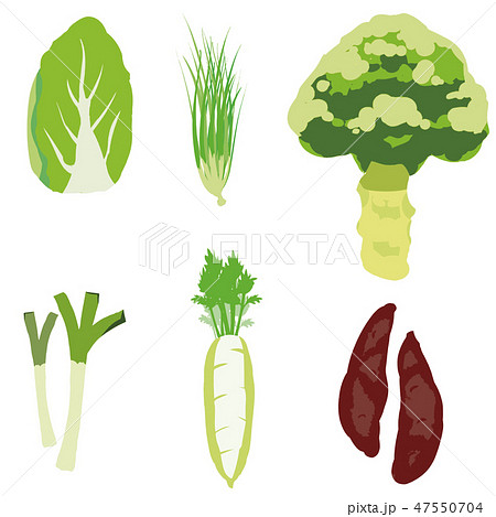 冬野菜 イラストセット2 Winter Vegetable Illustration Set2 のイラスト素材